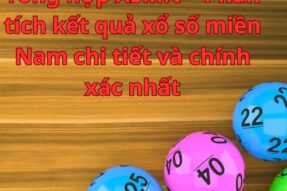 Tổng hợp XSMN – Phân tích kết quả xổ số miền Nam chi tiết và chính xác nhất