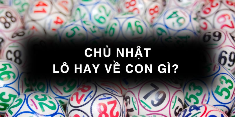 Chủ nhật lô hay về con gì