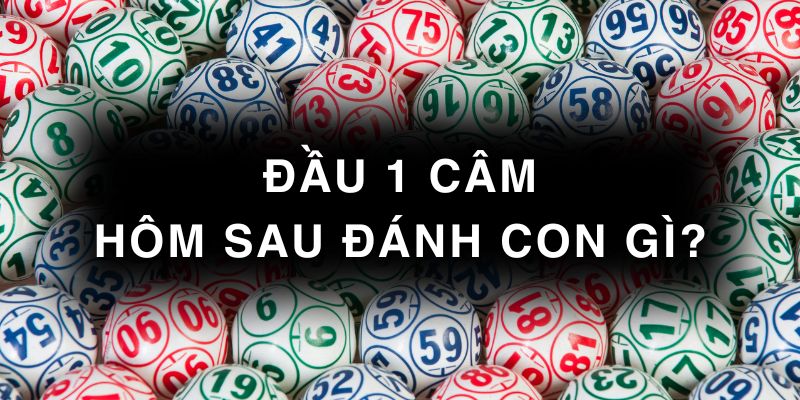 đầu 1 câm hôm sau đánh con gì