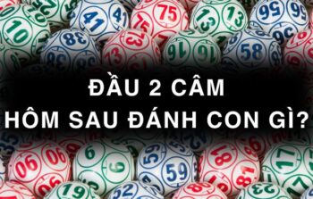 Mẹo soi cầu lô đề: Đầu 2 câm hôm sau đánh con gì?