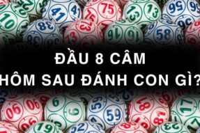 Bí kíp soi cầu đầu 8 câm nên đánh con gì chính xác nhất
