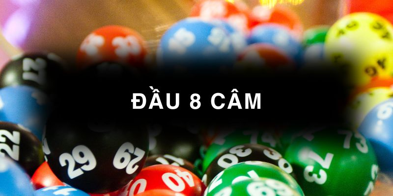 đầu 8 câm