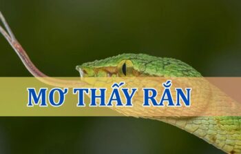 Mơ thấy rắn là điềm gì? Đánh lô đề con gì may mắn?