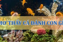 Mơ thấy cá – Ý nghĩa giấc mơ và các con số may mắn