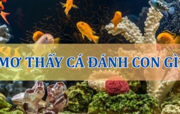 Mơ thấy cá – Ý nghĩa giấc mơ và các con số may mắn