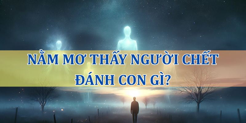 Nằm mơ thấy người chết đánh con gì?