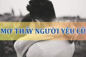 Nằm mơ thấy người yêu cũ đánh con gì dễ trúng nhất?